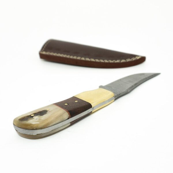 8 Inch Damascus Steel Custom Handmade Groomsmen Gift Camping Utility Collectible Knife, Walnut wood, Rams Horn - Image 5